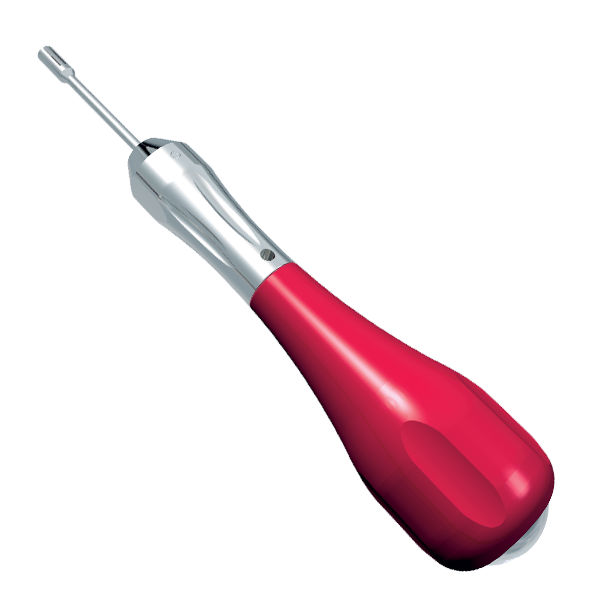 alt="cacciavite tomas"